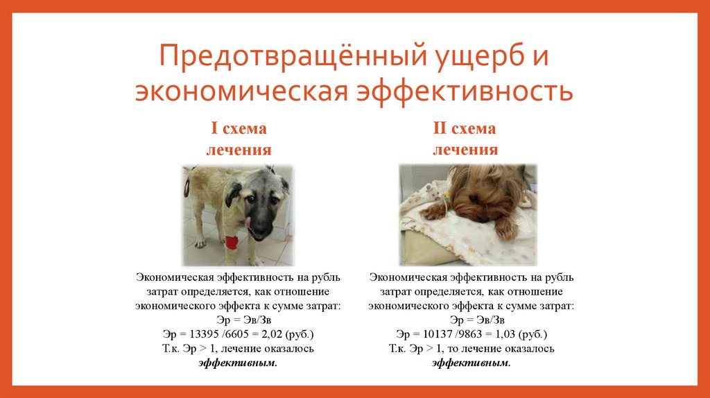 Предотвращённый ущерб и экономическая эффективность