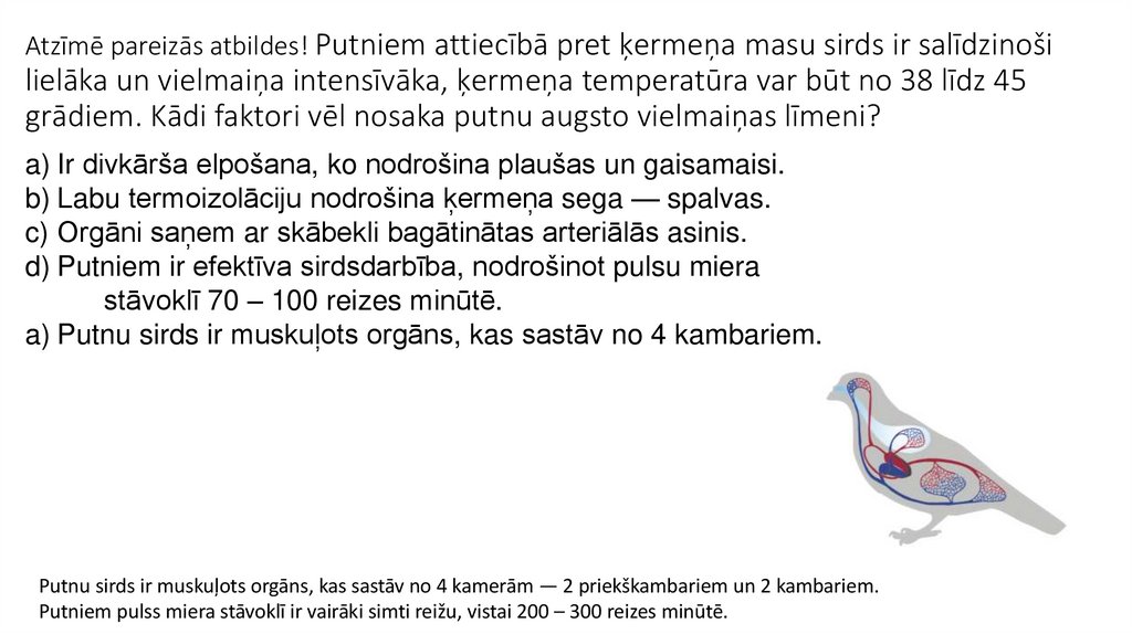 Atzīmē pareizās atbildes! Putniem attiecībā pret ķermeņa masu sirds ir salīdzinoši lielāka un vielmaiņa intensīvāka, ķermeņa