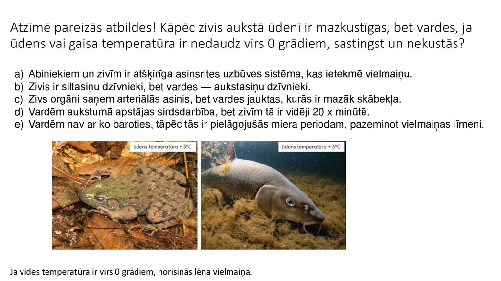 Atzīmē pareizās atbildes! Kāpēc zivis aukstā ūdenī ir mazkustīgas, bet vardes, ja ūdens vai gaisa temperatūra ir nedaudz virs 0