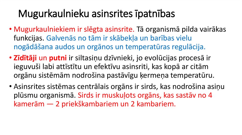 Mugurkaulnieku asinsrites īpatnības
