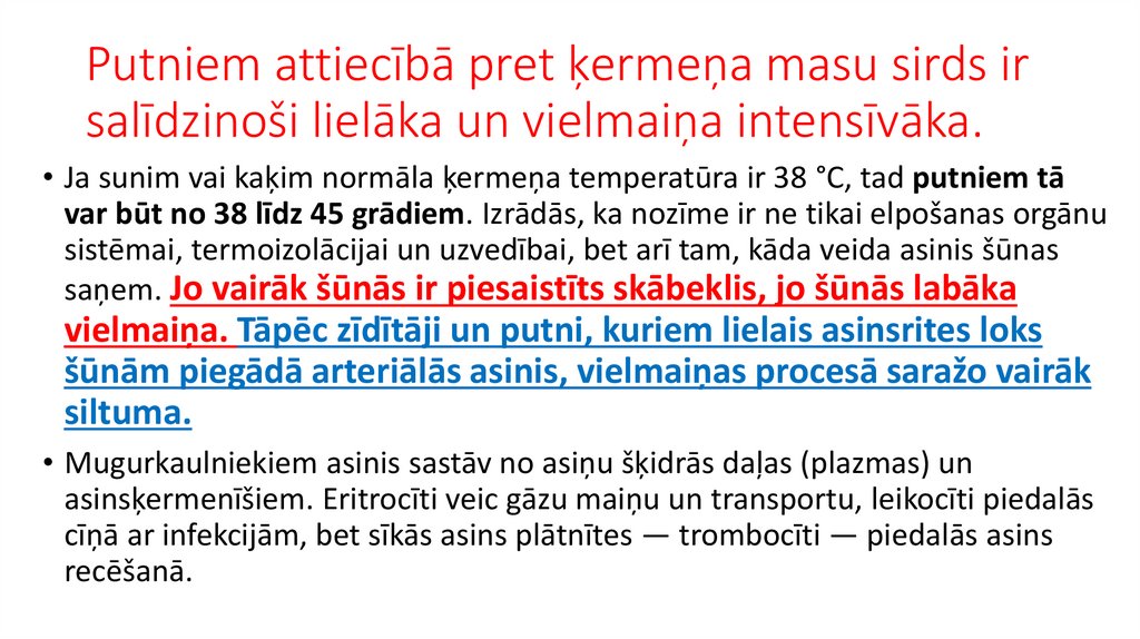 Putniem attiecībā pret ķermeņa masu sirds ir salīdzinoši lielāka un vielmaiņa intensīvāka.
