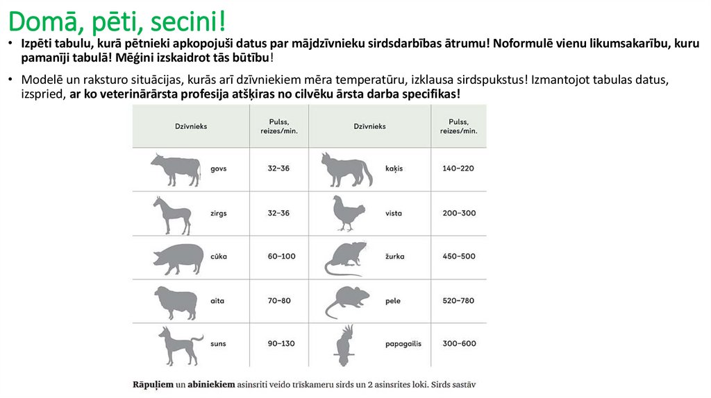 Domā, pēti, secini!