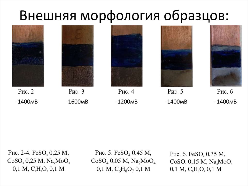 Внешняя морфология образцов:
