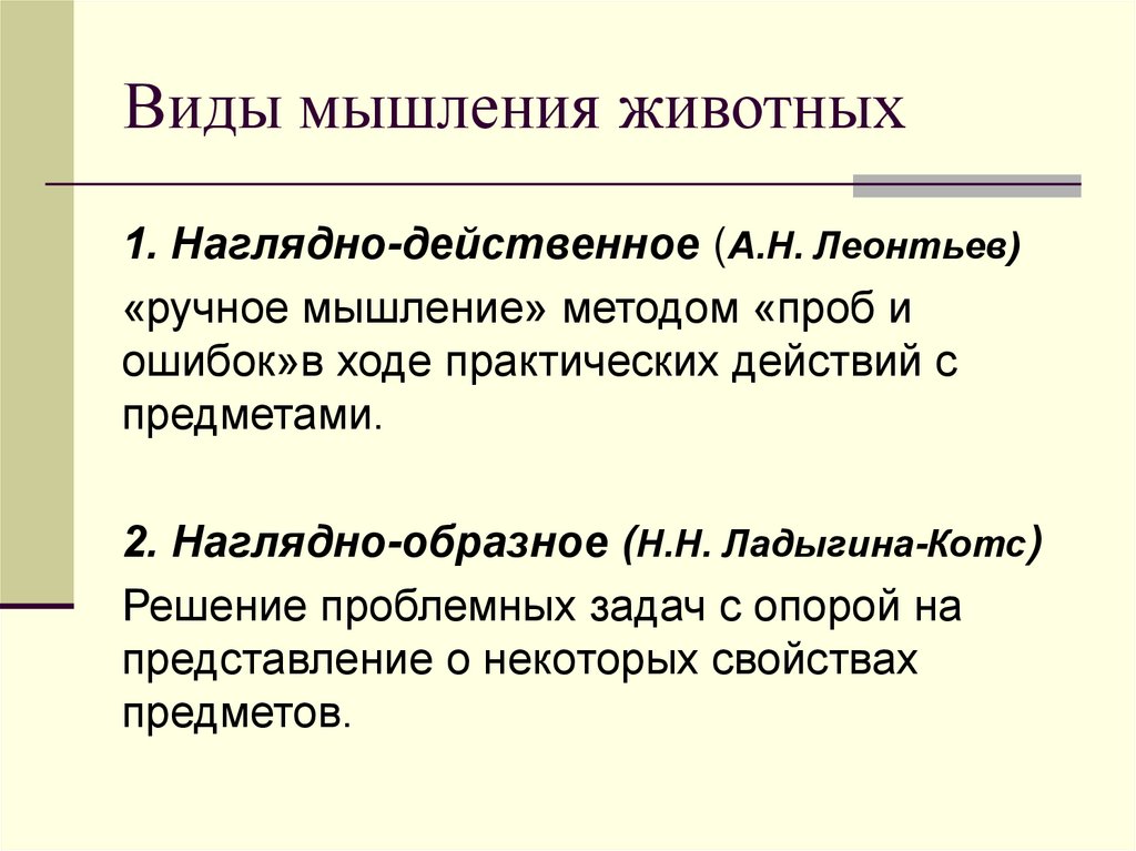 Виды мышления животных