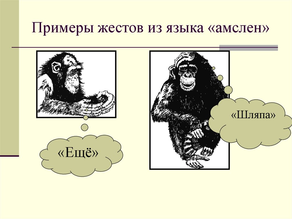 Примеры жестов из языка «амслен»