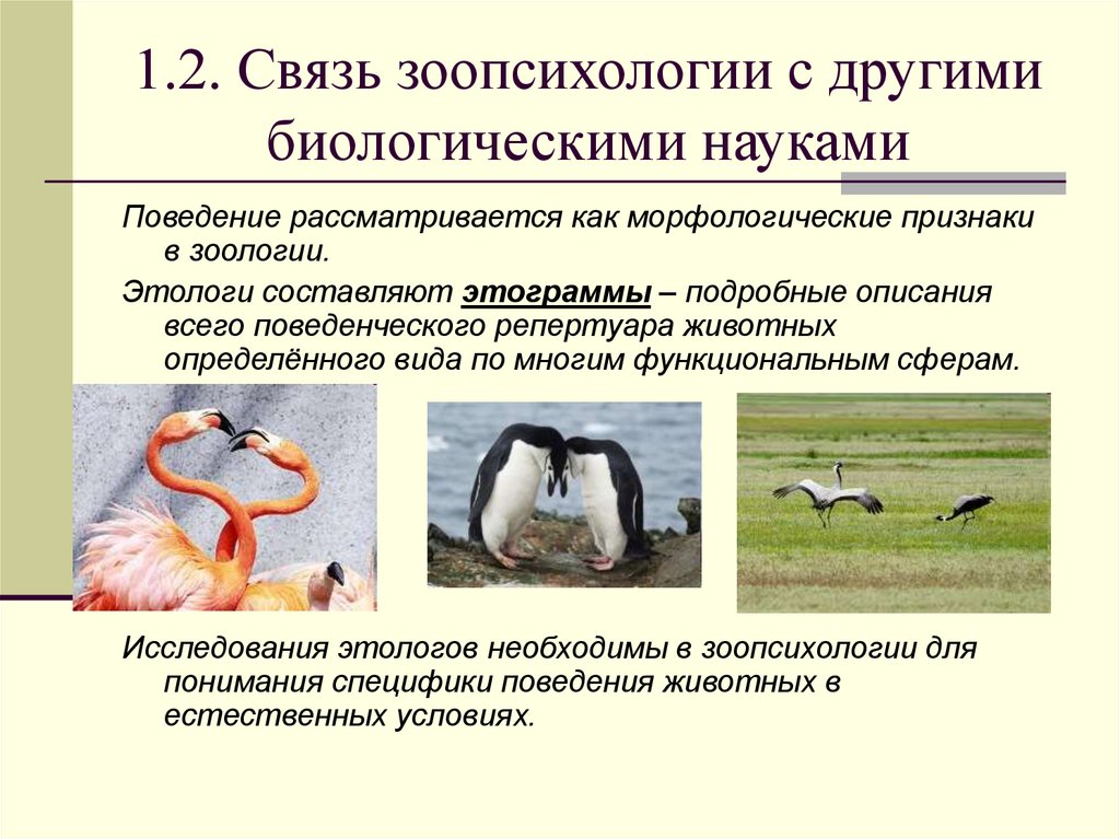 1.2. Связь зоопсихологии с другими биологическими науками