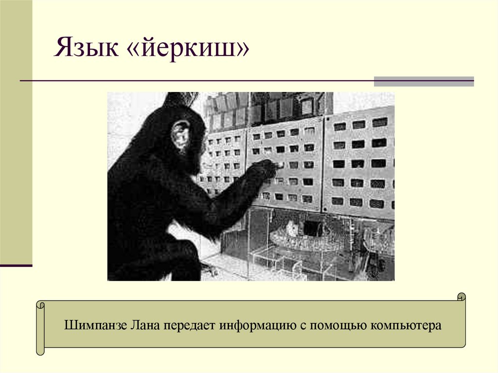 Язык «йеркиш»