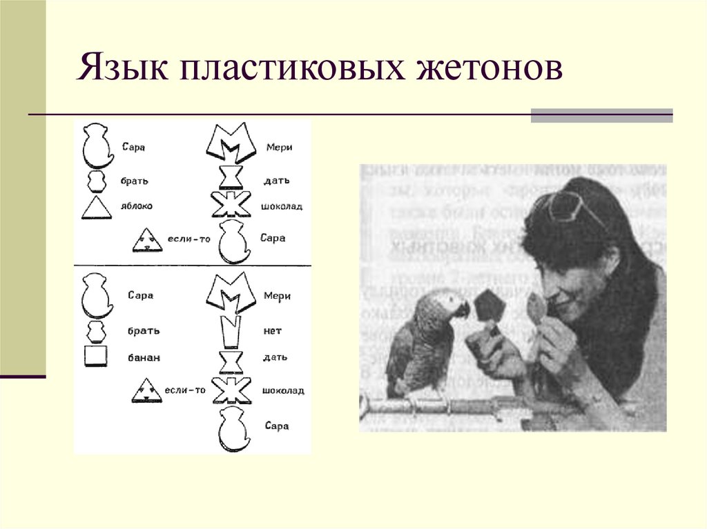 Язык пластиковых жетонов