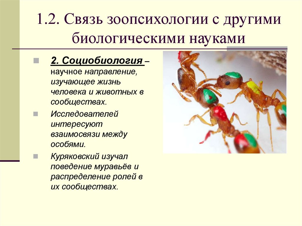 1.2. Связь зоопсихологии с другими биологическими науками