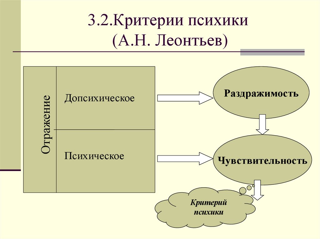 3.2.Критерии психики (А.Н. Леонтьев)