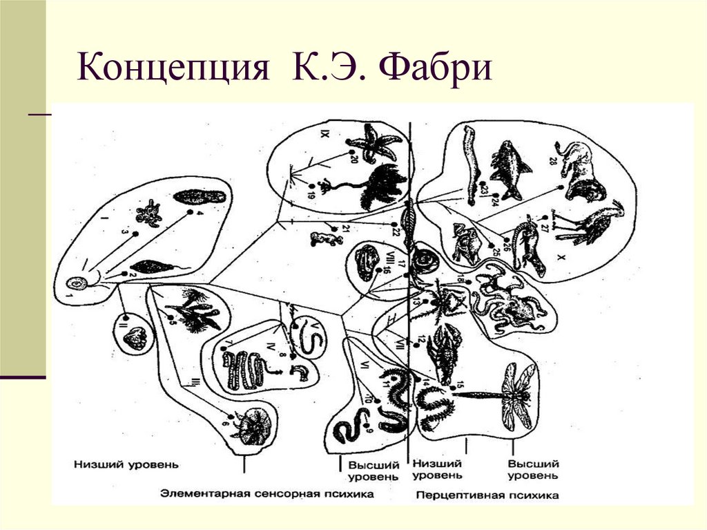 Концепция К.Э. Фабри