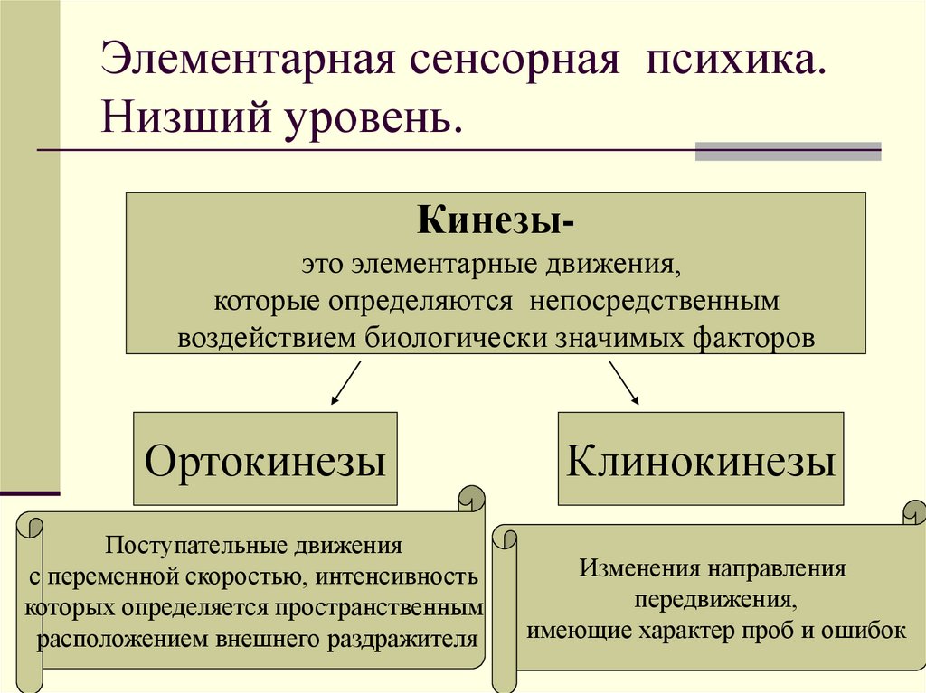 Элементарная сенсорная психика. Низший уровень.