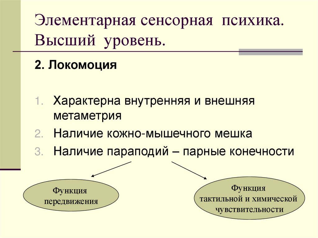 Элементарная сенсорная психика. Высший уровень.