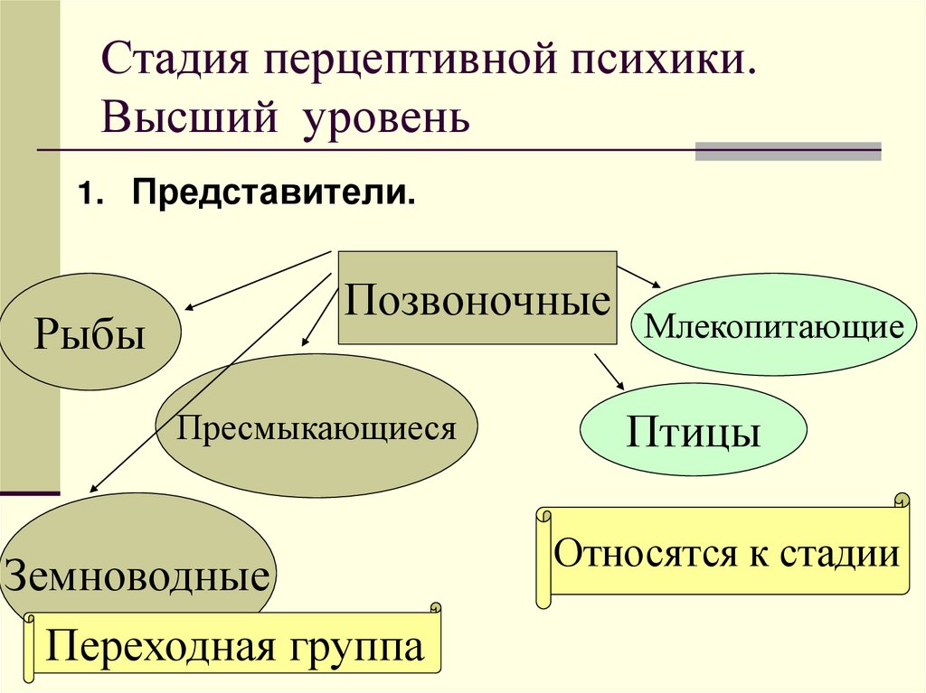 Стадия перцептивной психики. Высший уровень