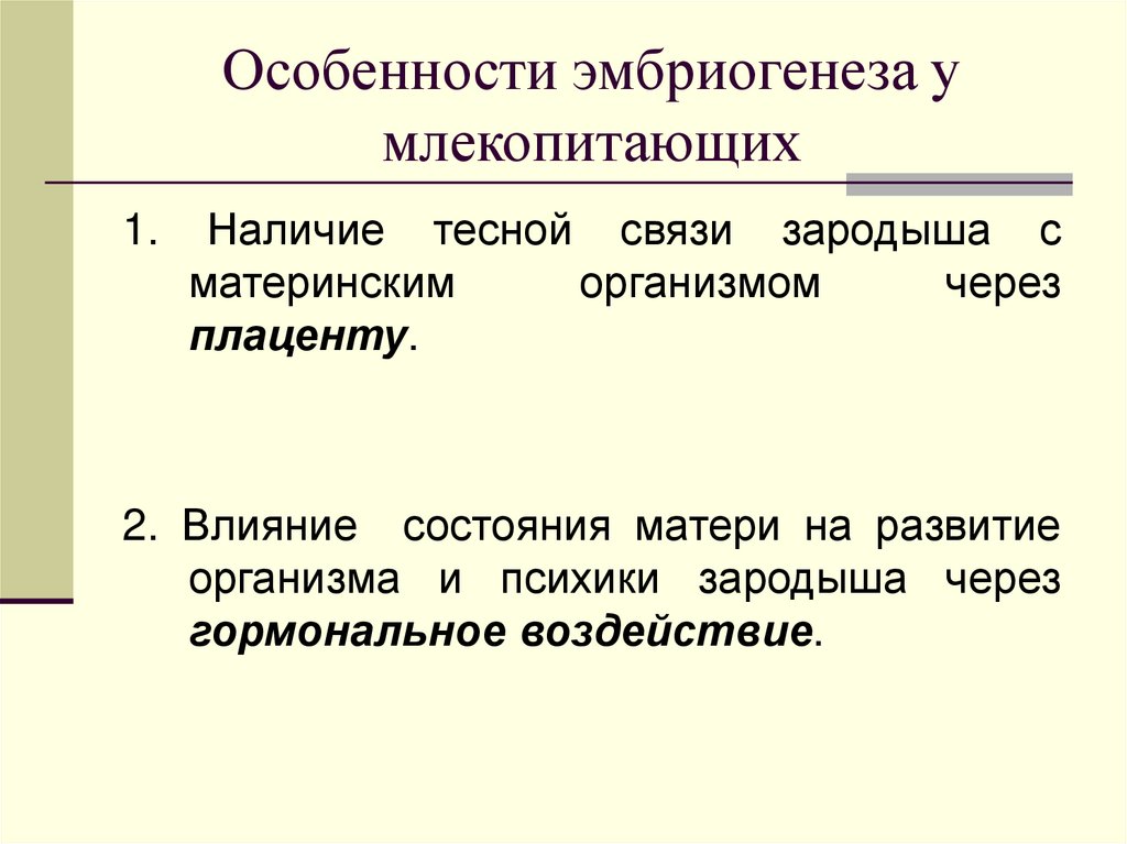 Особенности эмбриогенеза у млекопитающих