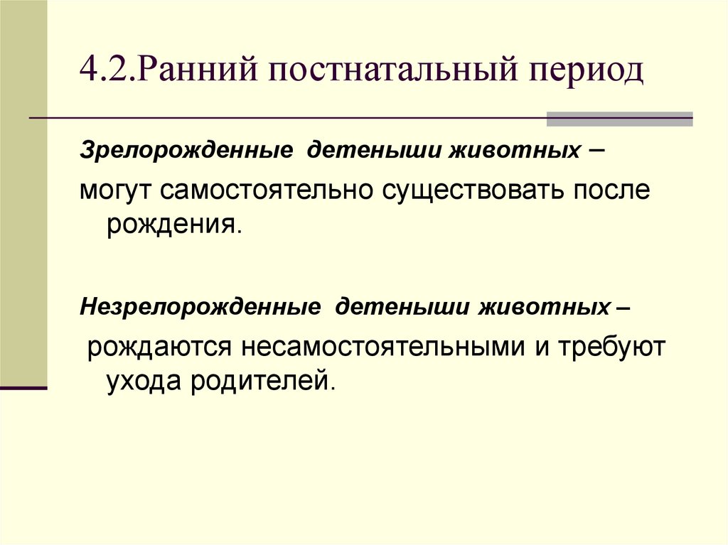 4.2.Ранний постнатальный период