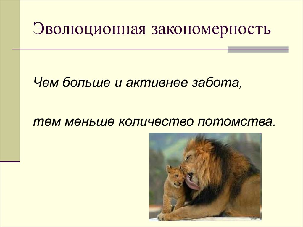 Эволюционная закономерность