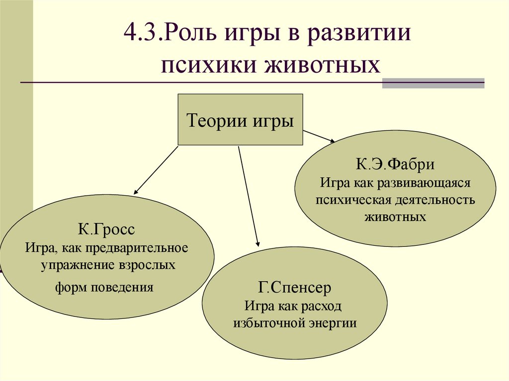 4.3.Роль игры в развитии психики животных