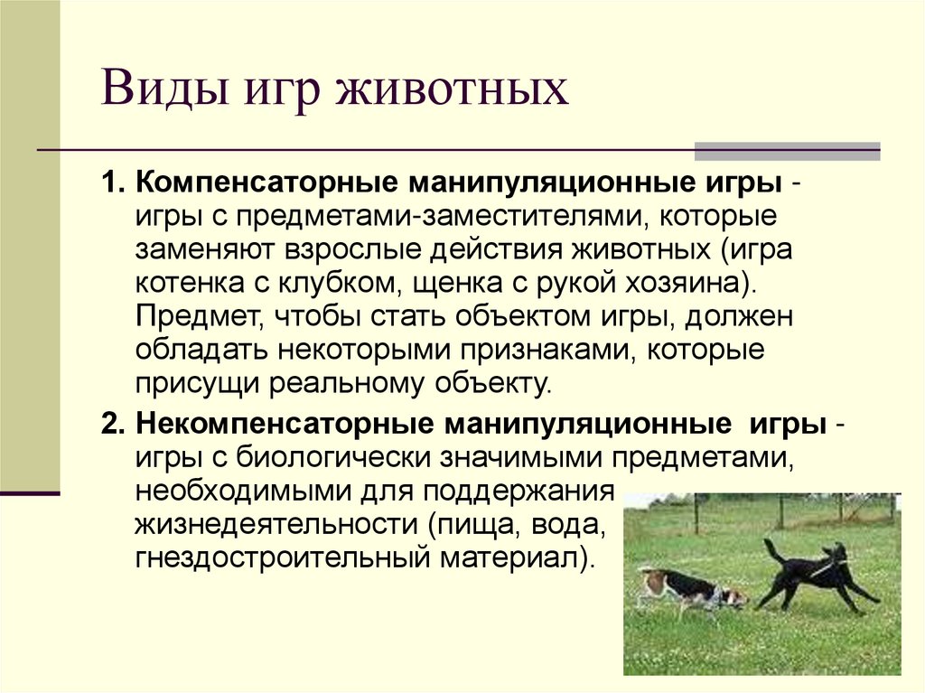 Виды игр животных