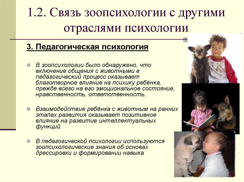 1.2. Связь зоопсихологии с другими отраслями психологии