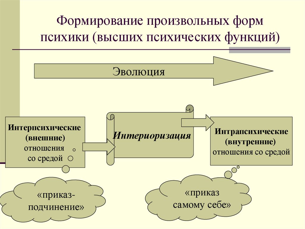 Формирование произвольных форм психики (высших психических функций)