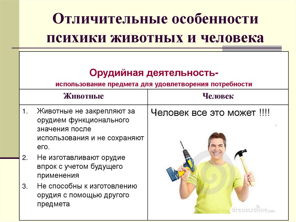 Отличительные особенности психики животных и человека