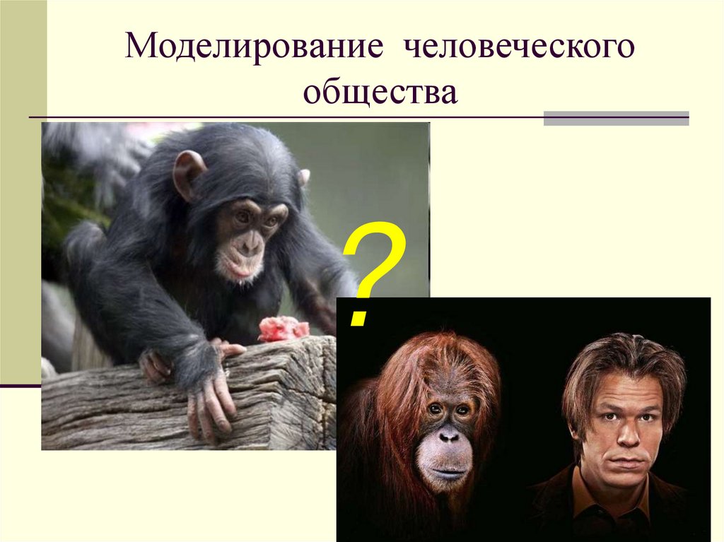 Моделирование человеческого общества