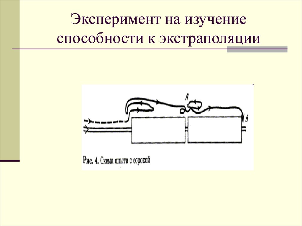 Эксперимент на изучение способности к экстраполяции