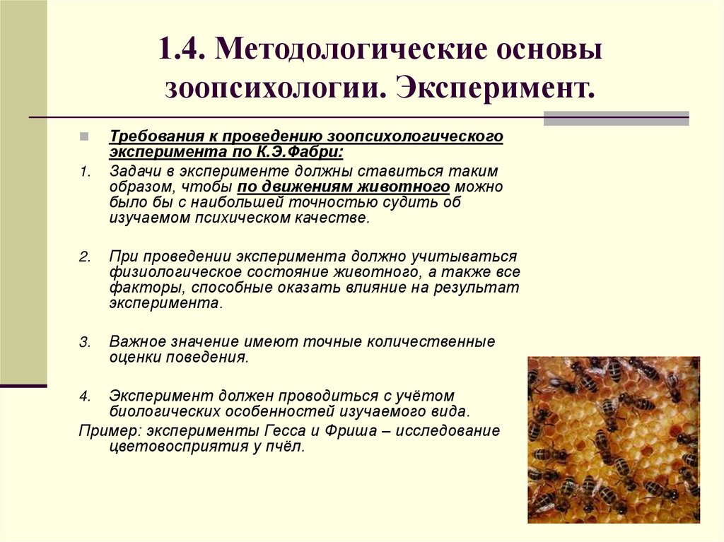 1.4. Методологические основы зоопсихологии. Эксперимент.