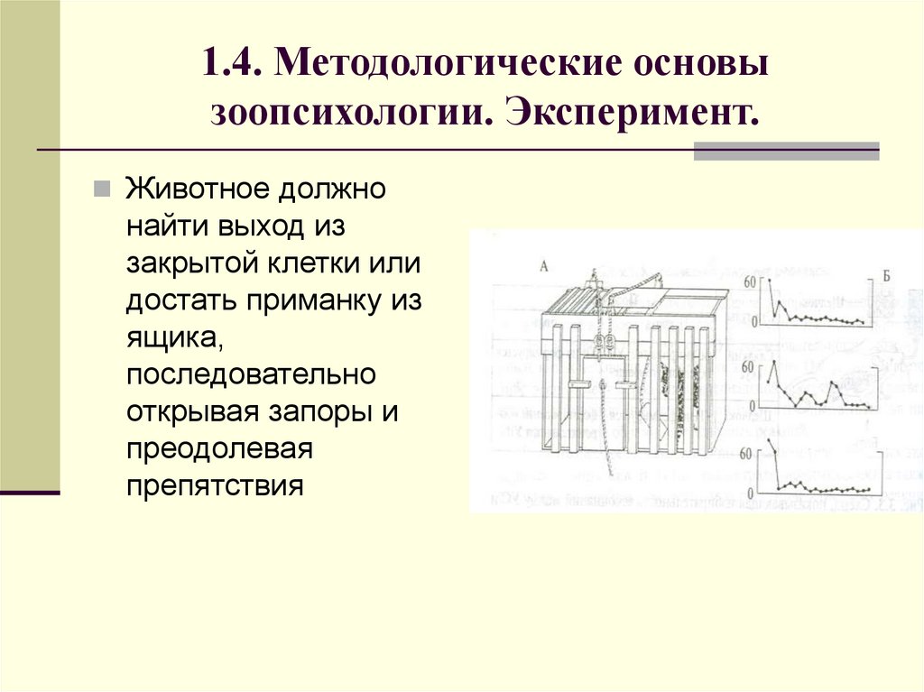 1.4. Методологические основы зоопсихологии. Эксперимент.