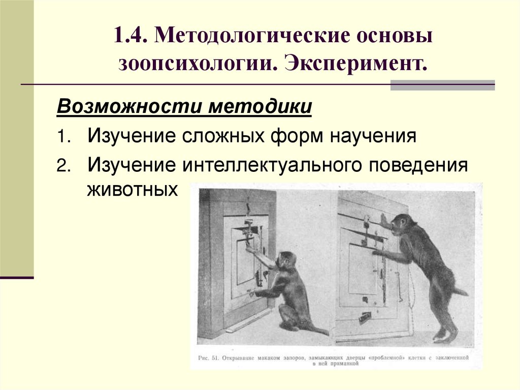 1.4. Методологические основы зоопсихологии. Эксперимент.