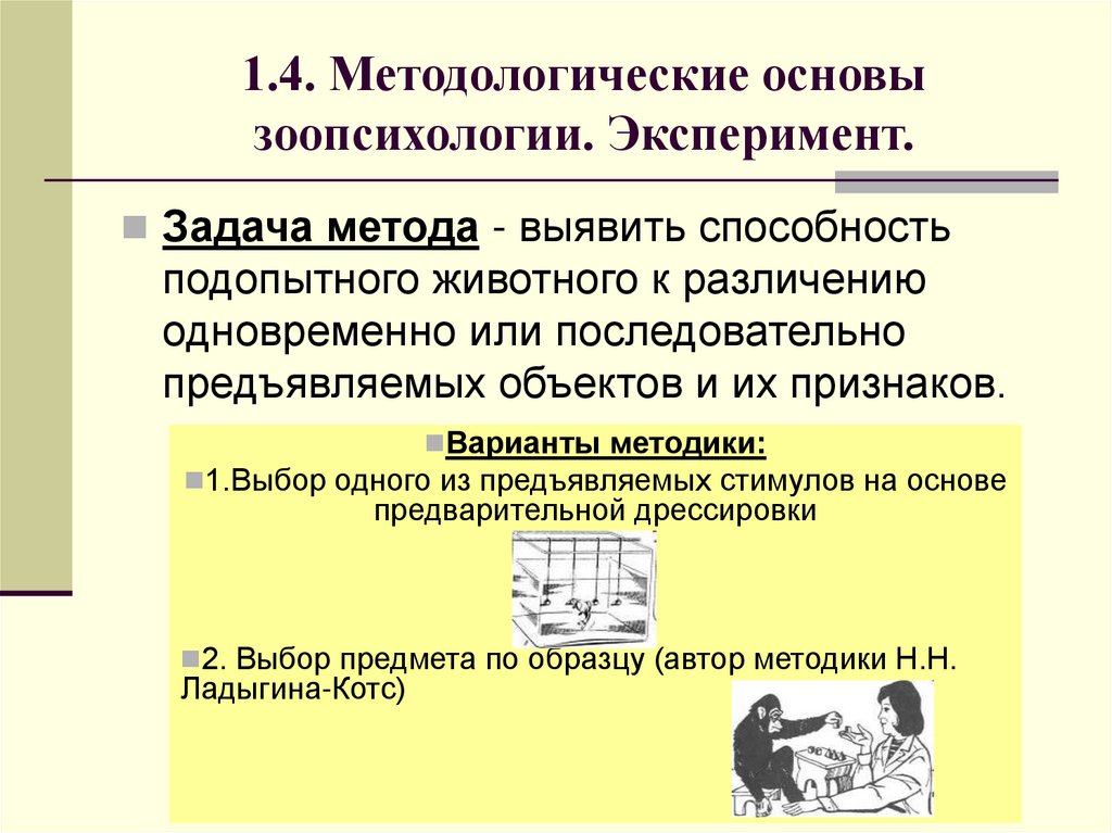 1.4. Методологические основы зоопсихологии. Эксперимент.