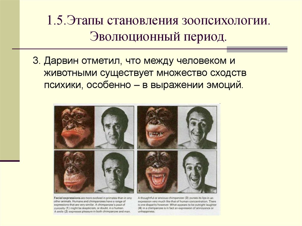 1.5.Этапы становления зоопсихологии. Эволюционный период.