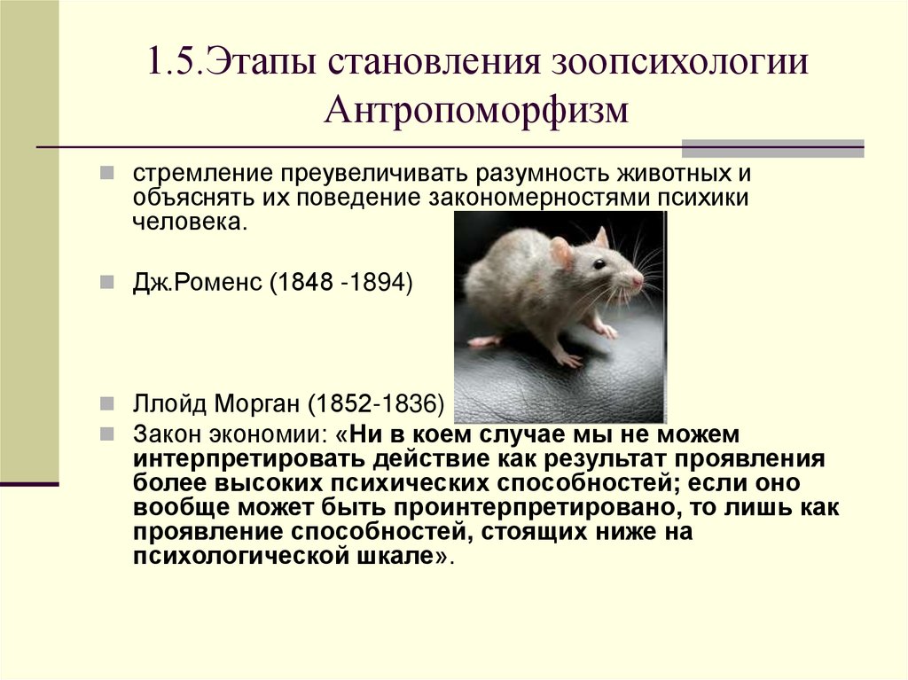 1.5.Этапы становления зоопсихологии Антропоморфизм