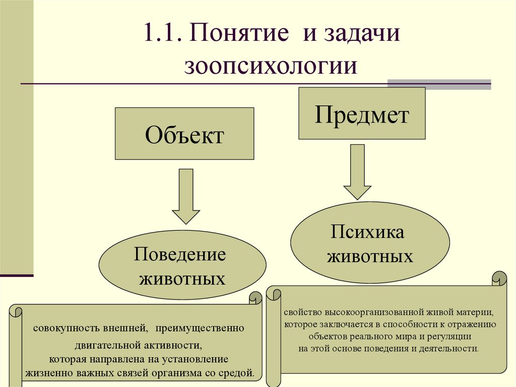 1.1. Понятие и задачи зоопсихологии