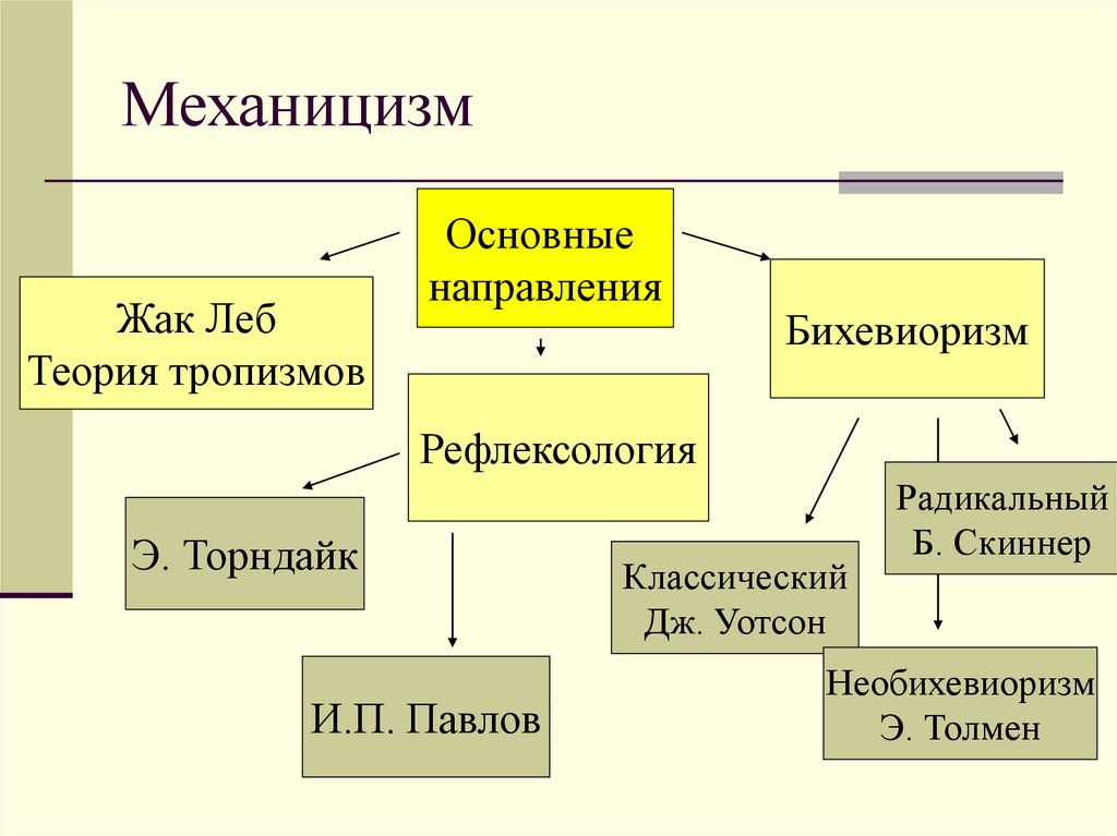 Механицизм