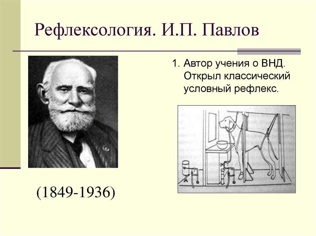 Рефлексология. И.П. Павлов