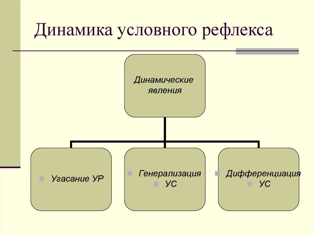 Динамика условного рефлекса