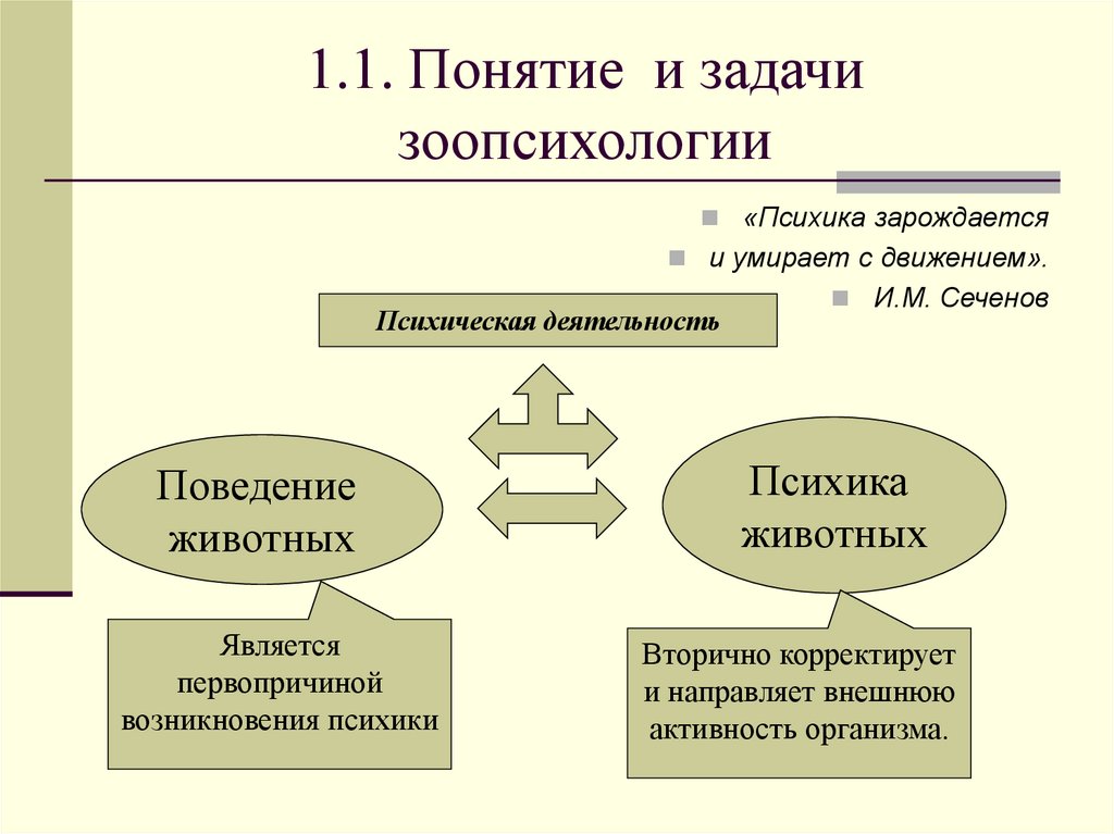 1.1. Понятие и задачи зоопсихологии