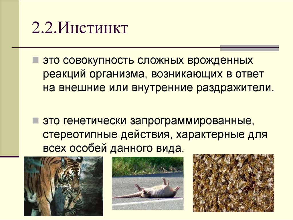 2.2.Инстинкт