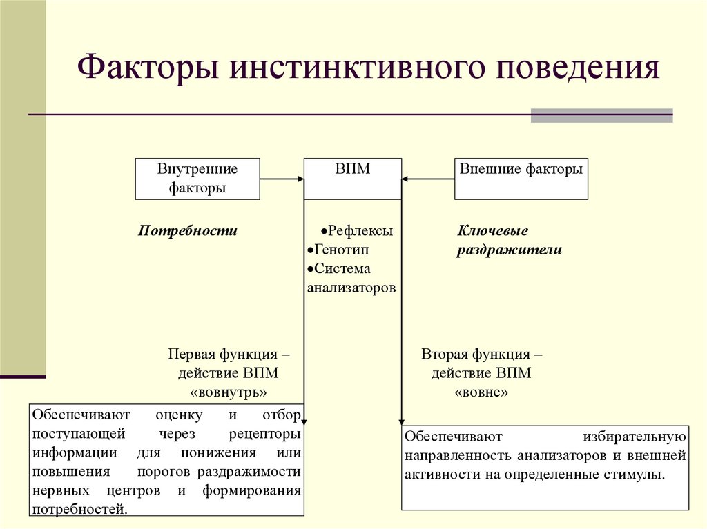 Факторы инстинктивного поведения