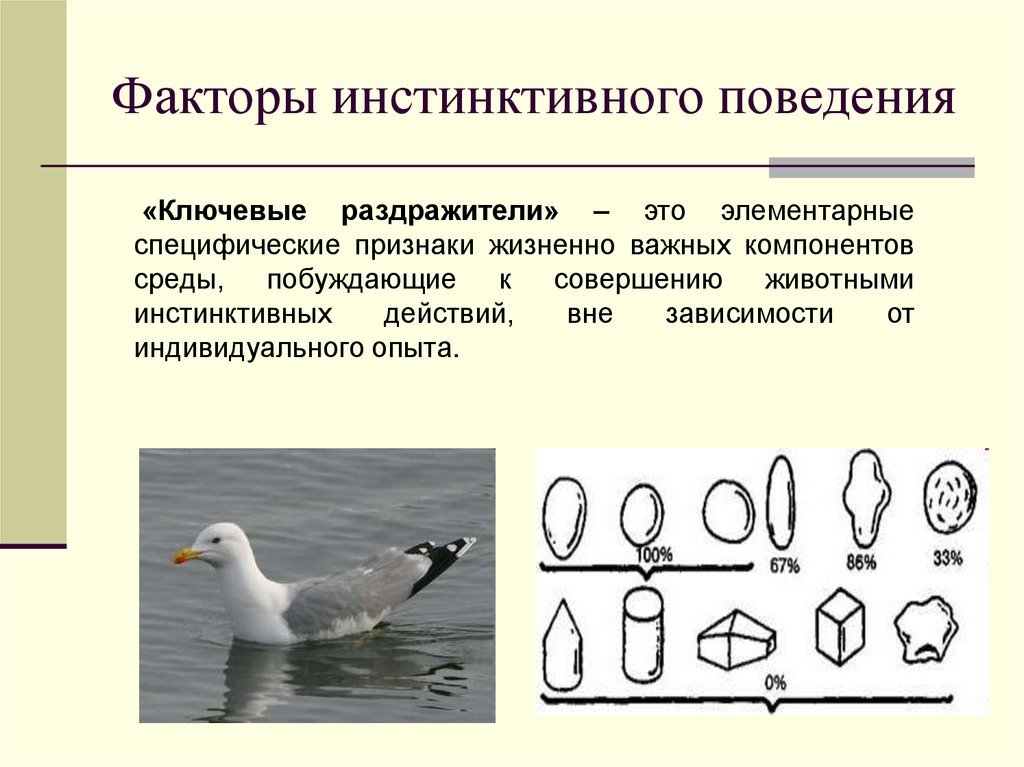 Факторы инстинктивного поведения