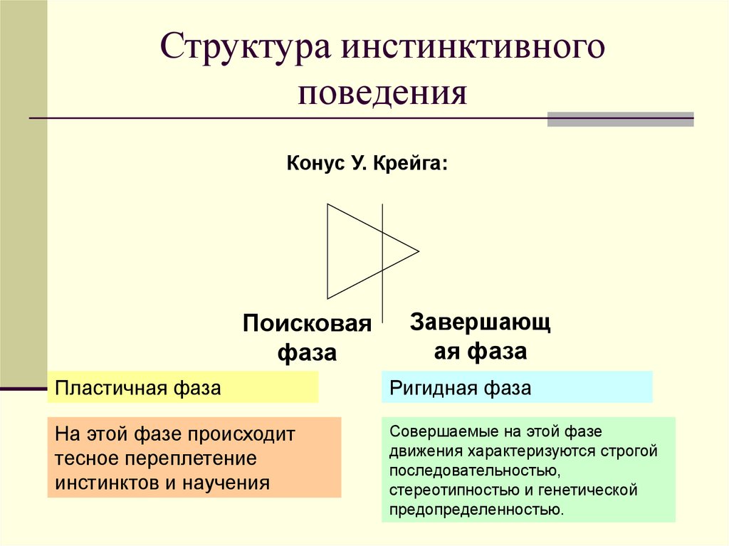 Структура инстинктивного поведения
