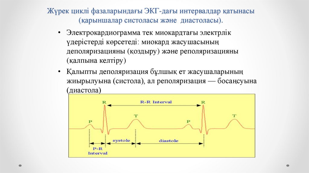Жүрек циклі фазаларындағы ЭКГ-дағы интервалдар қатынасы (қарыншалар систоласы және диастоласы).