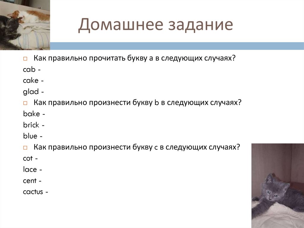 Домашнее задание