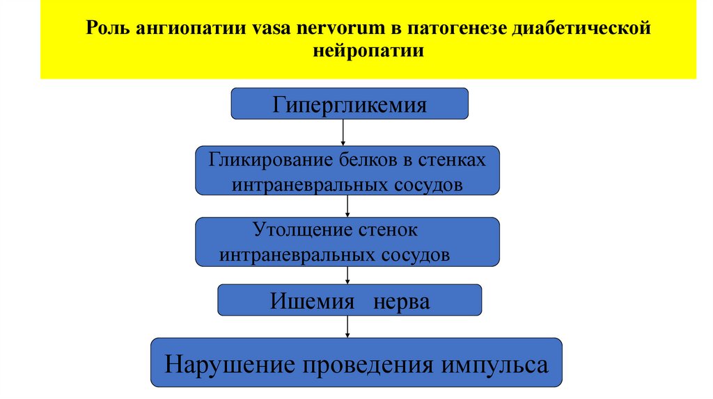 Роль ангиопатии vasa nervorum в патогенезе диабетической нейропатии