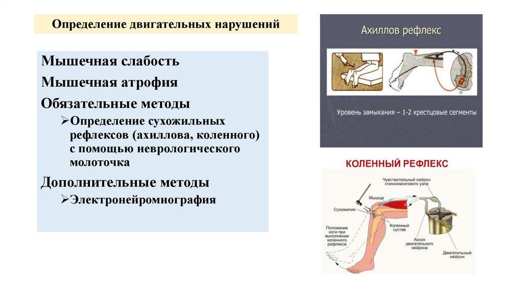 Определение двигательных нарушений