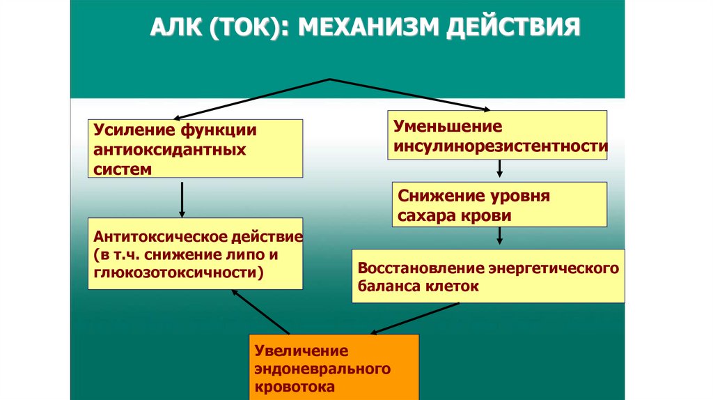 АЛК (ТОК): МЕХАНИЗМ ДЕЙСТВИЯ