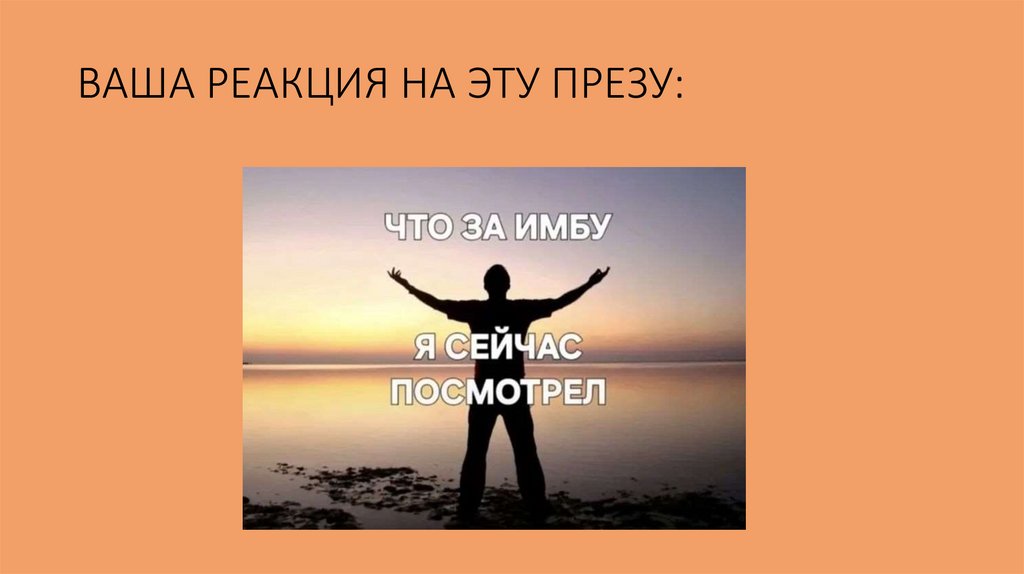 ВАША РЕАКЦИЯ НА ЭТУ ПРЕЗУ: