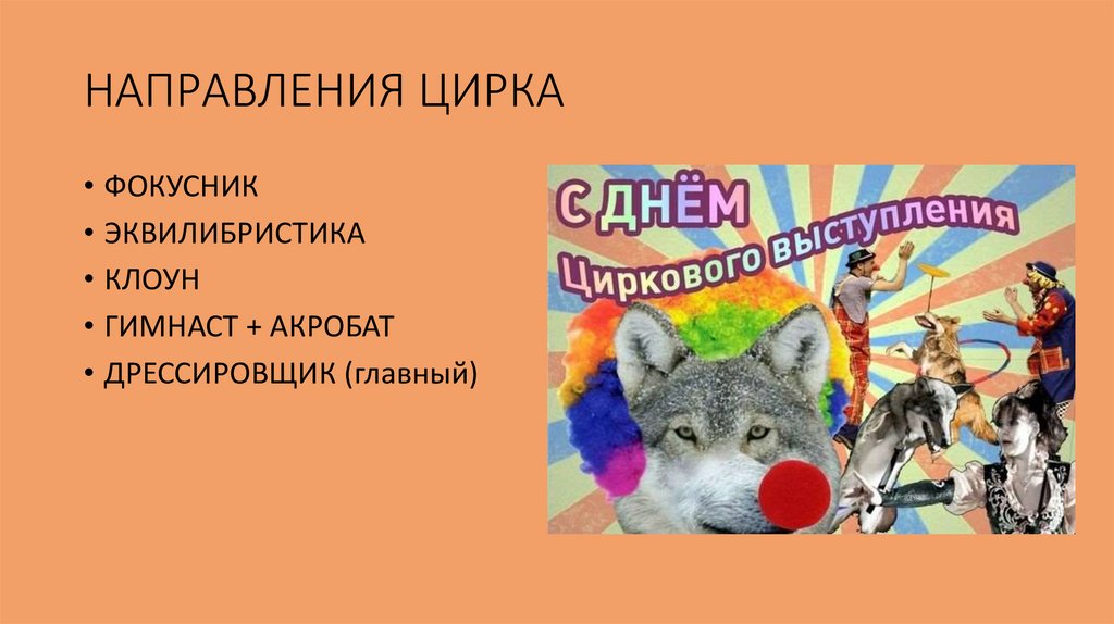 НАПРАВЛЕНИЯ ЦИРКА